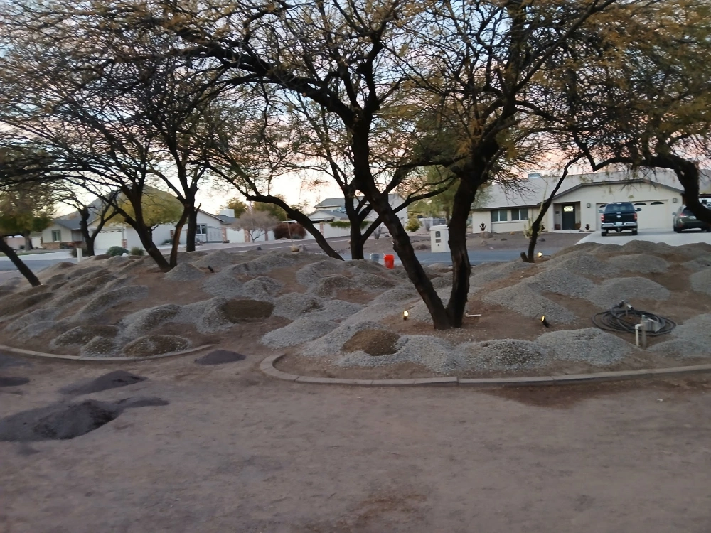 Palo Verde
